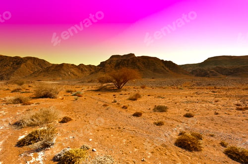 Preview: Raging Colors Of The Rocky Hills Of The Negev Desert In Israel. Breathtaking Landscape And Nature