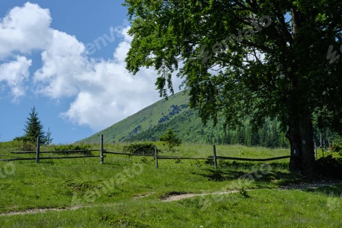 Preview: Carpathian Mountain Summer Country Landscape With Path And Fence, Ukraine.