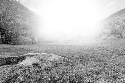 Preview: Morning Mist In Italian Alps. View Of The Mountain Forest Valley At Sunrise. Large Rock In The