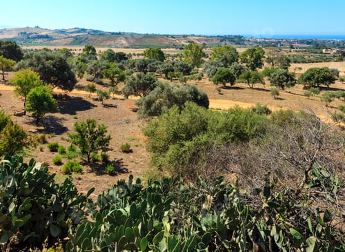 Preview: View To Gardens And Sea From Famous Ancient Ruins In Valley Of Temples, Agrigento, Sicily, Italy.
