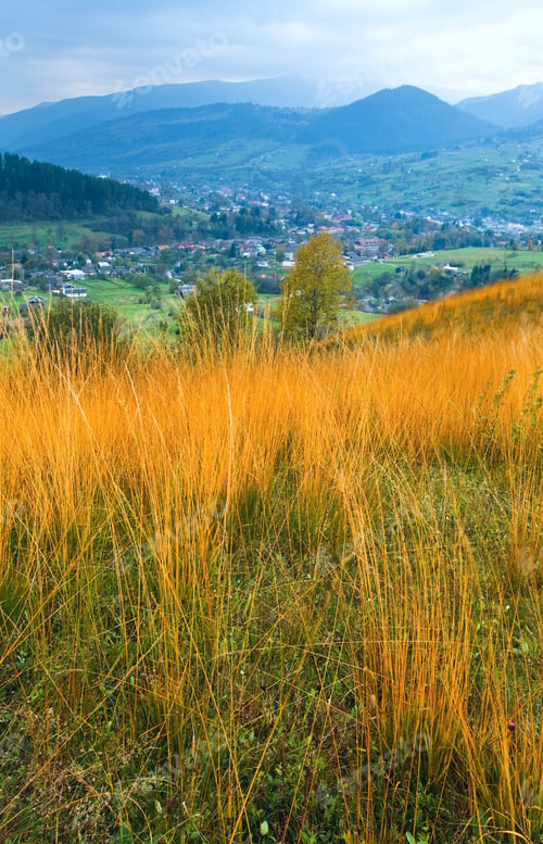 Preview: Overcast Autumn Mountain Country Landscape And High Yellow Grass In Front(Trans-Carpathian