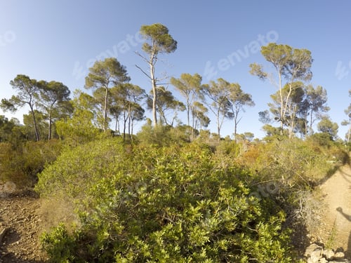 Preview: Mondrago Natural Park, Mallorca, Spain