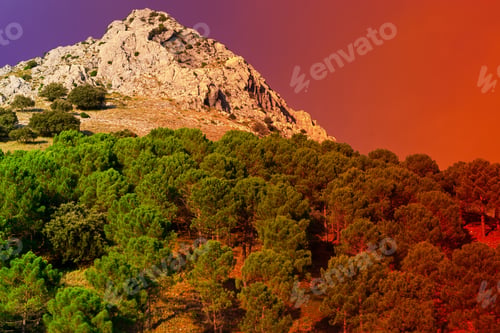 Preview: Coniferous Forest On The Background Of Mountains In Spain At Sunset