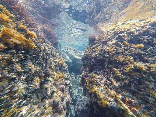 Preview: Underwater Image Moraira Beach Alicante Province Spain Mediterranean Sea