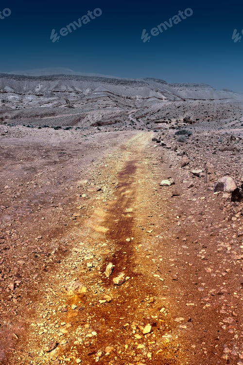 Preview: Dirt Road Of The Negev Desert In Israel, Vintage Style Toned Picture