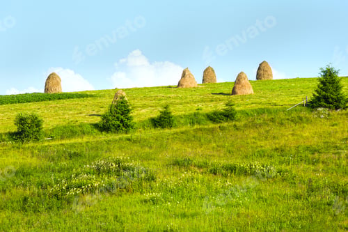 Preview: Summer Mountain Village Outskirts With Haystacks On Field (Carpathian, Ukraine)