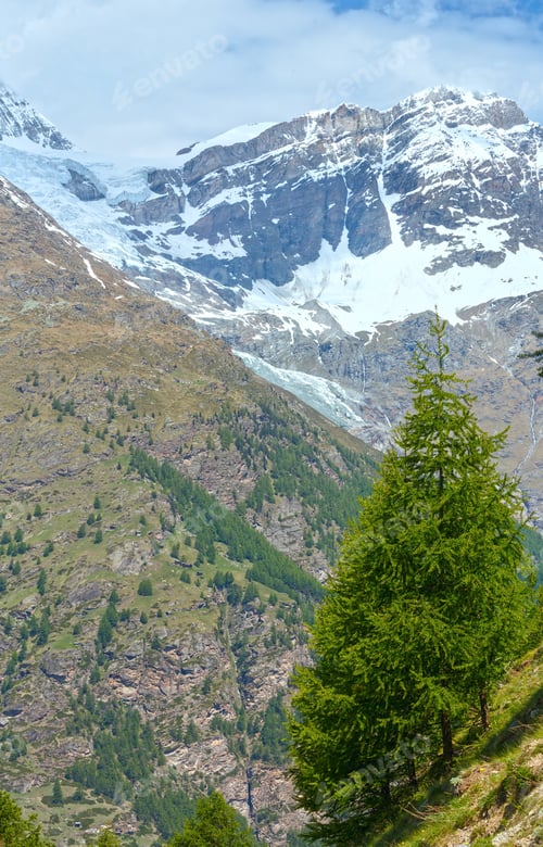 Preview: Summer Alps Mountain View From Plateau With Fir Trees On Slope.(Switzerland, Near Zermatt)