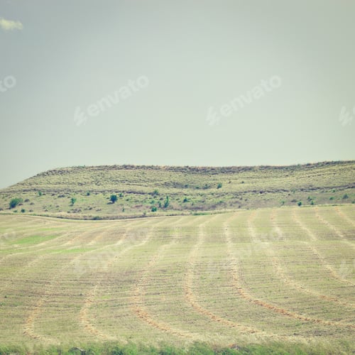 Preview: Mown Field On The Hill In Sicily, Italy, Retro Effect