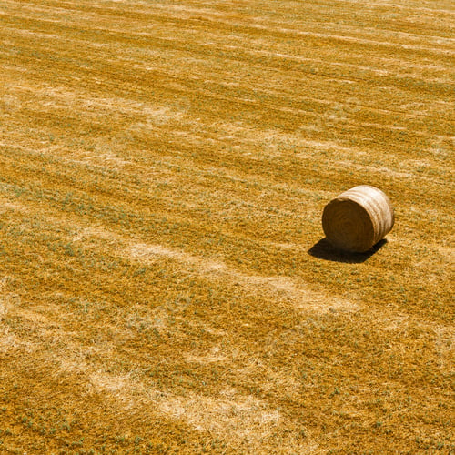 Preview: Landscape With Hay Bale