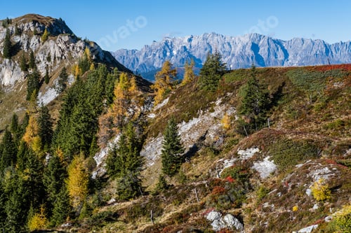 Preview: Sunny Idyllic Autumn Alpine Scene. Peaceful Alps Mountain View From Hiking Path From Dorfgastein To