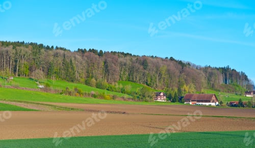 Preview: The Swiss Farmhouse Surrounded By Forests And Plowed Fields
