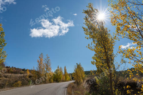 Preview: Gold Autumn With Sunlight And Sunbeams Beautiful Trees In The Forest In Teruel Spain