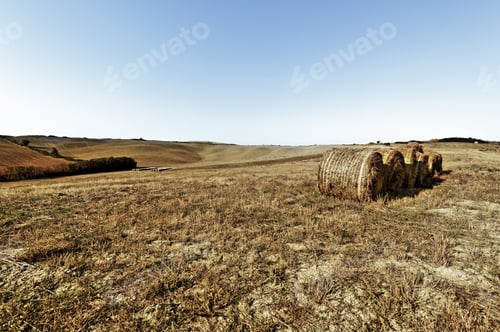 Preview: Landscape With Straw Bales On A Field In Italy. Tuscany Landscape After Harvest. Vintage Style