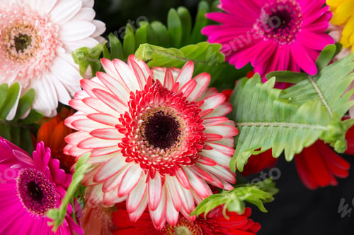 Preview: Public Market In Ponta Delgada Sao Miguel Island Azores Portugal Flowershop