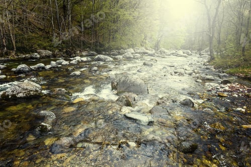 Preview: Morning Mist Over The Stream In The Italian Alps In Piedmont. View Of The Forest Valley With River
