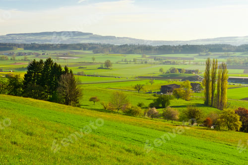 Preview: Asphalt Road Between Farmhouses In The Swiss Alps