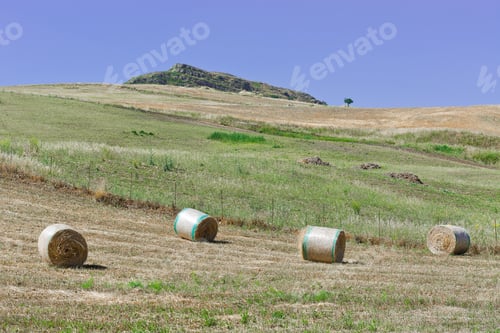 Preview: Landscape Of Sicily With Many Hay Bales