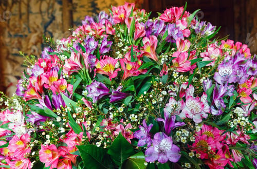 Preview: Big Multicolor Alstroemeria (Magenta - Pink - Red) Wonderful Summer Flowers Bouquet