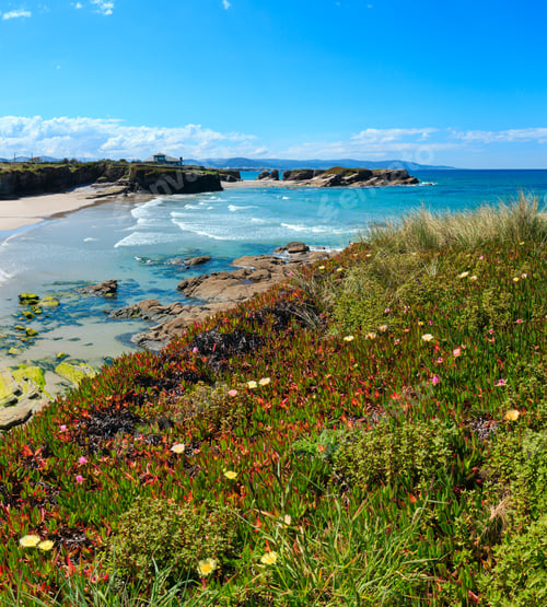 Preview: Summer Blossoming Atlantic Coast And Sandy Beach Los Castros (Galicia, Spain). Two Shots Stitch