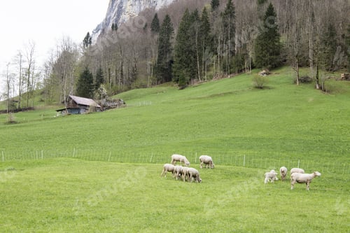 Preview: Landscape In Lauterbrunnen Junfrau Region Berner Oberland Switzerland