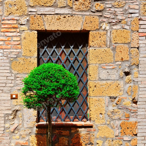 Preview: Italian Window Decorated With Ornamental Tree