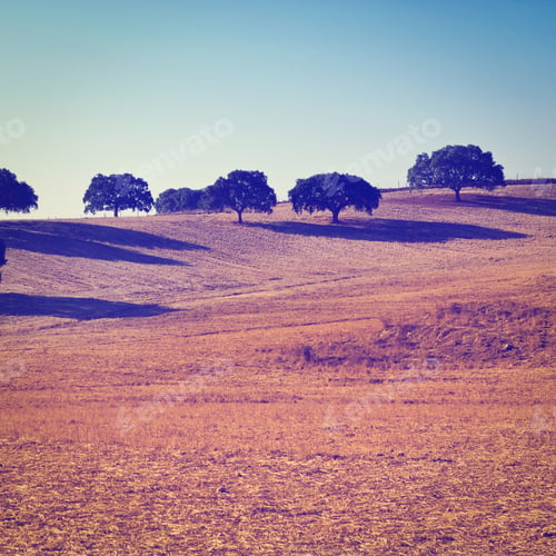Preview: Sloping Hills Of Portugal In The Autumn, Instagram Effect