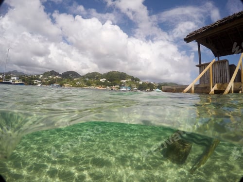 Preview: Young Island, Saint Vincent And The Grenadines Caribbean Sea
