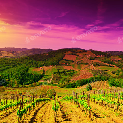 Preview: Hill Of Tuscany With Vineyard In The Chianti Region At Sunset