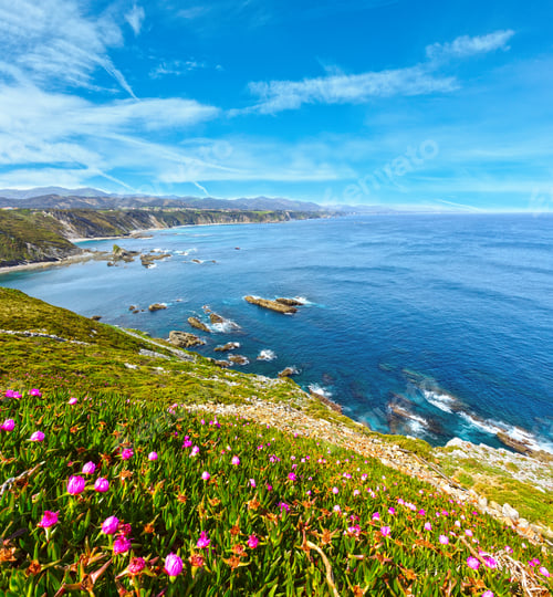 Preview: Summer Blossoming Cape Vidio Landscape (Asturian Coast, Cudillero, Spain).