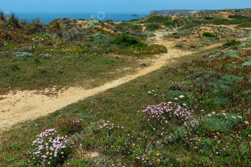 Preview: Summer Blossoming Atlantic Coast View, Aljezur, Algarve West, Costa Vicentina, Portugal.