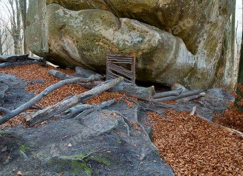 Preview: Large Lofty Stone And Autumn Leaves ( "Skeli Dovbusha", Ivano-Frankovsk Region, Ukraine )