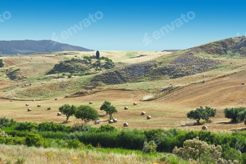 Preview: Landscape Of Sicily With Many Hay Bales