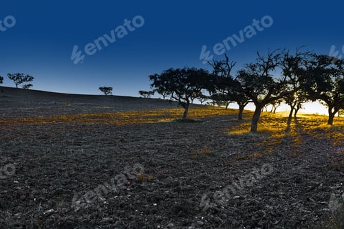 Preview: Sloping Hills Of Portugal In The Autumn At Sunset