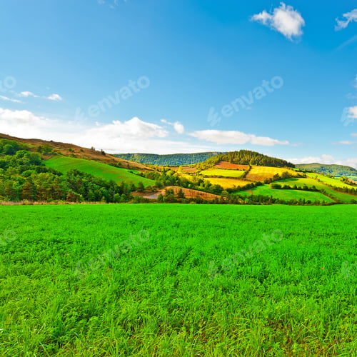 Preview: Sunny Meadow In The French Alps