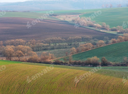 Preview: Spring Morning Rural Country Landscape With Plowed Agricultural Fields On Hills, Trees And Groves