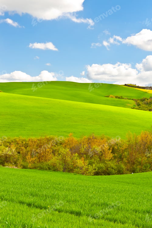 Preview: Green Sloping Meadows Of Tuscany
