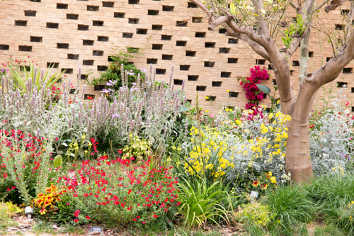 Preview: Beautiful Wildflowers Growing In Garden Valencia Spain