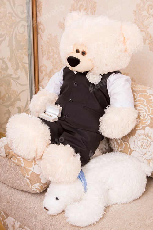 Preview: The Toy Bear Sits On A Pillow Dressed In A Jacket And Holds Wedding Rings.