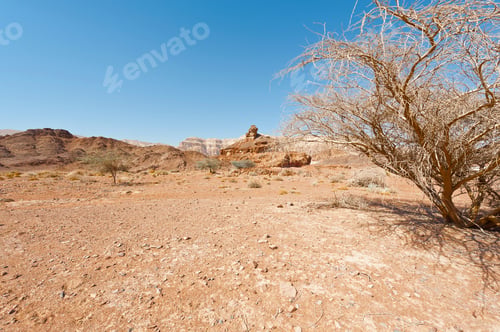 Preview: Melancholy And Emptiness Of The Rocky Hills Of The Negev Desert In Israel. Breathtaking Landscape