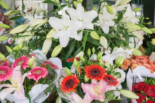 Preview: Flowers In Shop Solny Square In Wroclaw Poland