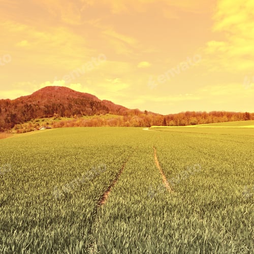 Preview: Green Pastures Around Farm House In Switzerland At Sunset, Vintage Style Toned Picture