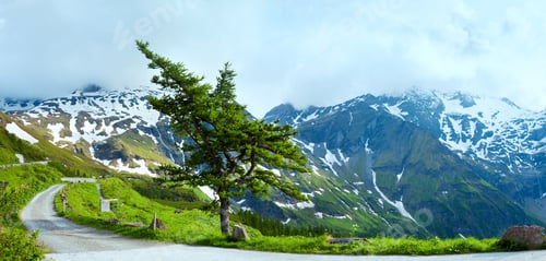 Preview: Tranquil Summer Alps Mountain Panorama With Lonely Pine Tree. Two Shots Composite Picture.