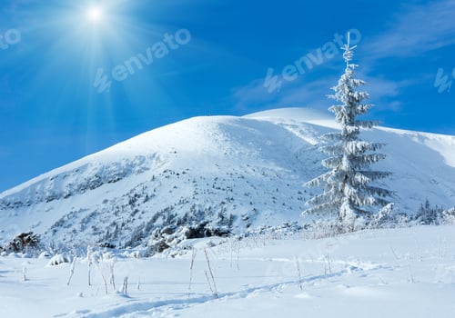 Preview: Sunshiny Winter Mountain Landscape With Lonely Fir Tree On Slope.