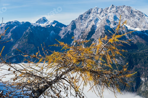Preview: Autumn Alps Mountain Misty Morning View From Jenner Viewing Platform, Schonau Am Konigssee