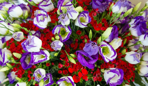 Preview: Big Multicolor (White - Pink - Red) Wonderful Summer Flowers Bouquet