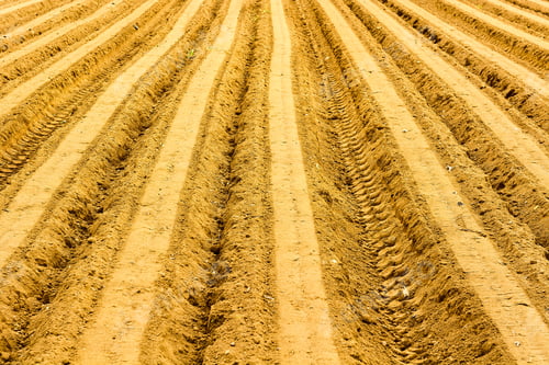 Preview: Plowed Field As Natural Background