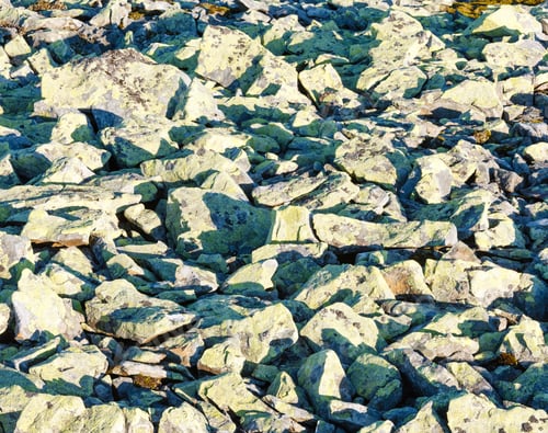 Preview: Slide-Rocks With Yellow Lichen On Stones In Morning Light, Background.