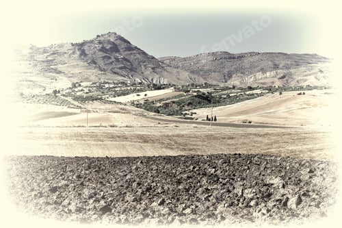 Preview: Olive Groves And Plowed Sloping Hills Of Sicily In Spring, Retro Image Filtered Style