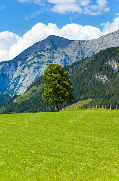 Preview: Alps Mountain Meadow Tranquil Summer View (Austria, Gosau Village Outskirts)