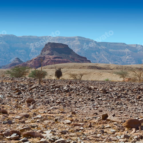 Preview: Infinite Fantasy Of The Rocky Hills Of The Negev Desert In Israel. Breathtaking Landscape And